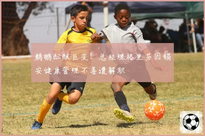 鹈鹕酝酿巨变！总经理格里芬因锡安健康管理不善遭解职