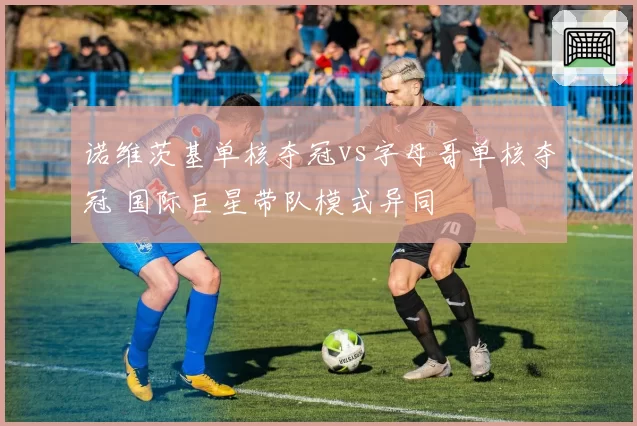 诺维茨基单核夺冠vs字母哥单核夺冠 国际巨星带队模式异同
